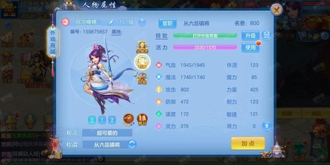 神武血耐宝宝怎么加点