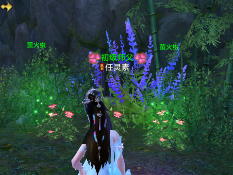 天龙八部萤火虫有什么用