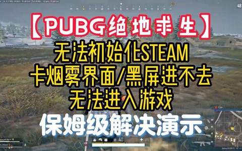 绝地求生怎么双排不了