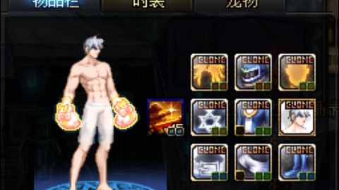 dnf武极时装上衣选什么技能